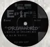 12inch Vinyl Single - Egotrip - Dreamworld