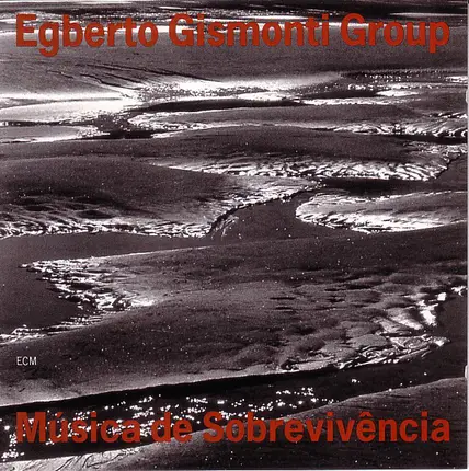 Egberto Gismonti Group - Música De Sobrevivência