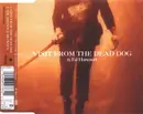 CD Single - Ed Harcourt - Visit From The Dead Dog