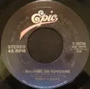 7inch Vinyl Single - Eddy Grant - Walking On Sunshine