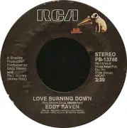 7inch Vinyl Single - Eddy Raven - I Got Mexico / Love Burning Down