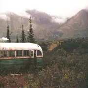 LP - Eddie Vedder - Into The Wild - 180g, Booklet Incl., Gatefold