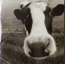 CD - Eddie From Ohio - Looking Out The Fishbowl