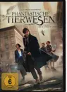 DVD - Eddie Redmayne / David Yates a.o. - Phantastische Tierwesen und wo sie zu finden sind / Fantastic Beasts And Where To Find Them
