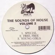 Eddie S - The Sounds Of House Volume 2