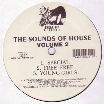 Eddie S. - The Sounds Of House Volume 2