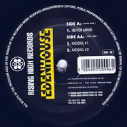 Edenhouse - Never Mind / Modul #1 & #2