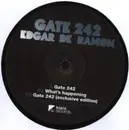 12inch Vinyl Single - Edgar De Ramon - Gate 242