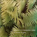 LP - Edgar Froese - Epsilon In Malaysian Pale - Gatefold