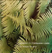 LP - Edgar Froese - Epsilon In Malaysian Pale - Gatefold