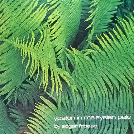 Edgar Froese - Ypsilon in Malaysian Pale