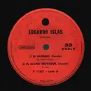 7inch Vinyl Single - Edgardo Islas - Il Pardino