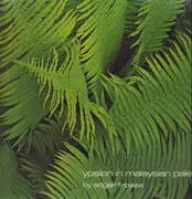LP - Edgar Froese - Ypsilon In Malaysian Pale - GREEN BRAIN