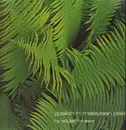 LP - Edgar Froese - Ypsilon In Malaysian Pale - GREEN BRAIN