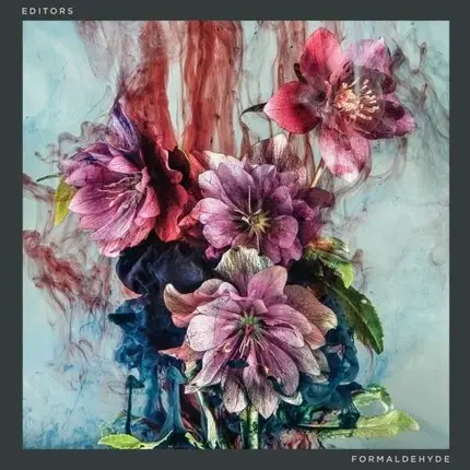 Editors - FORMALDEHYDE