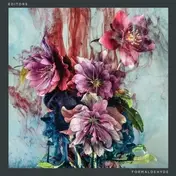 Editors - FORMALDEHYDE