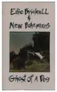 MC - Edie Brickell & New Bohemians - Ghost Of A Dog - Still Sealed
