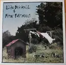 LP - Edie Brickell & New Bohemians - Ghost Of A Dog