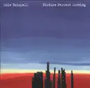 CD - Edie Brickell - Picture Perfect Morning
