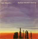 CD - Edie Brickell - Picture Perfect Morning