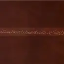 CD - Edison Woods - Edison Woods