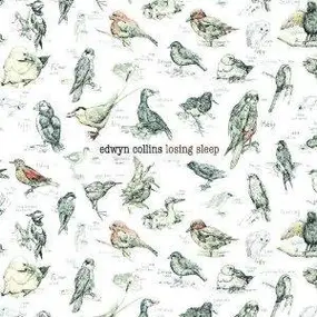 Edwyn Collins - Losing Sleep