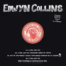 12inch Vinyl Single - Edwyn Collins - A Girl Like You