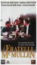 VHS - Edward Burns - I fratelli McMullen / The Brothers McMullen - Italian