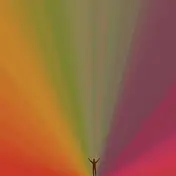 The Edward - Edward Sharpe & The Magnetic Zeros