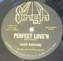 12inch Vinyl Single - Edwin Birdsong - Perfect Love'n - Still sealed