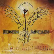 Edwin McCain - Misguided Roses