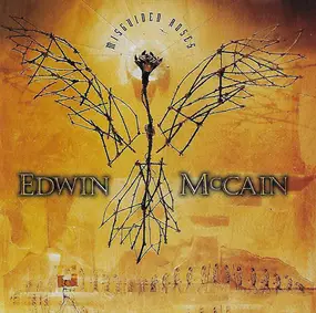 Edwin McCain - Misguided Roses