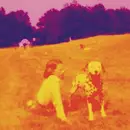 Double CD - Eels - Blinking Lights And Other Revelations