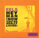 7inch Vinyl Single - Eels - Hey Man (Now You're Really Living) - Yellow