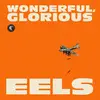 CD - Eels - Wonderful, Glorious