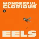 2x 10'' - Eels - Wonderful, Glorious - Limited Edition