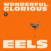 2x 10'' - Eels - Wonderful, Glorious - Limited Edition