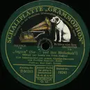 Schellack-12inch Vinyl Single - Efim Schachmeister Künstler-Ensemble - Maria, Mari! / Am Abend, am abend