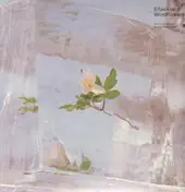 Efterklang - Windflowers