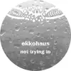 EP - Ekkohaus - Not Trying To