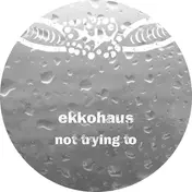Ekkohaus - NOT TRYING TO