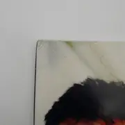 Double LP - Eins Zwo - Gefährliches Halbwissen - 1st German press on Yo Mamas w/ Artists Pic Labels