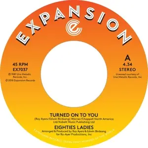 Eighties Ladies - Turned On To You/Ladies Of The 80s (instrumental)
