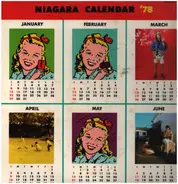 Eiichi Ohtaki - Niagara Calendar '78