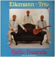 Eilemann-Trio - Hallo Freunde