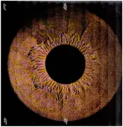 12inch Vinyl Single - Eonan - Luzider Geist EP