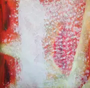 LP - El Perro Del Mar - Pale Fire