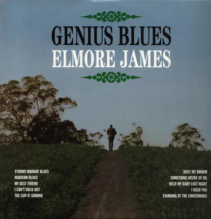 Elmore James - GENIUS BLUES