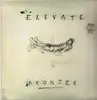 LP - Elevate - Bronzee - Numbered, Bronze Ed