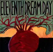 CD - Eleventh Dream Day - Beet